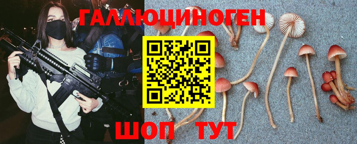 Североморск  Галлюциногенные грибы Psilocybine cubensis  Вход с VPN  Псилоцибиновые грибы прущие грибы 
